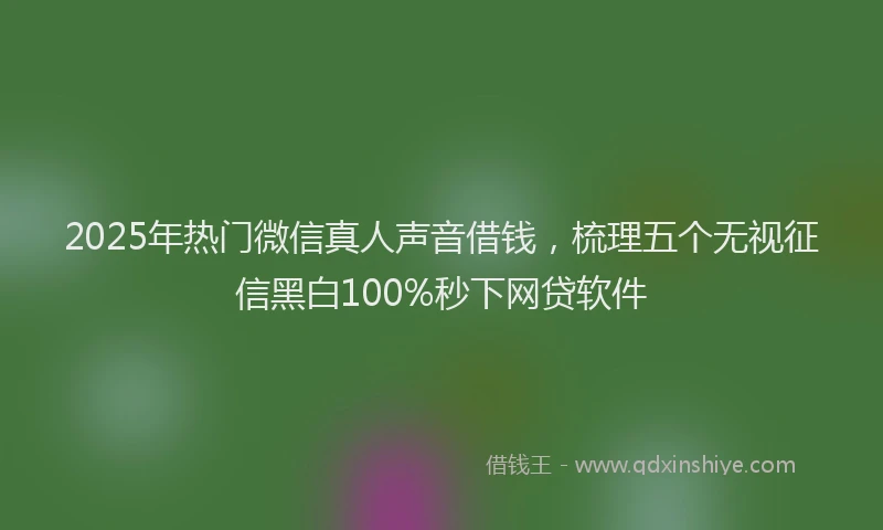 2025年热门微信真人声音借钱，梳理五个无视征信黑白100%秒下网贷软件