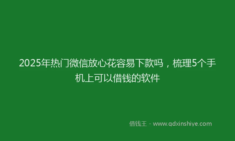 2025年热门微信放心花容易下款吗，梳理5个手机上可以借钱的软件