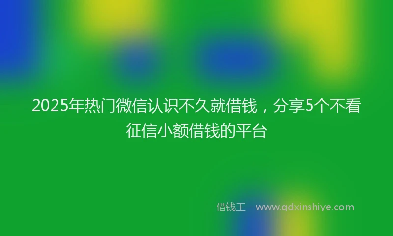 2025年热门微信认识不久就借钱，分享5个不看征信小额借钱的平台