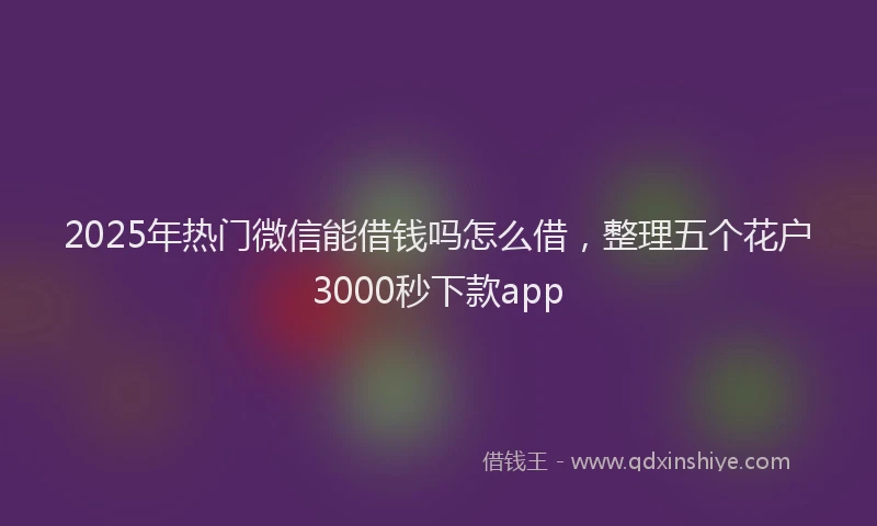 2025年热门微信能借钱吗怎么借，整理五个花户3000秒下款app
