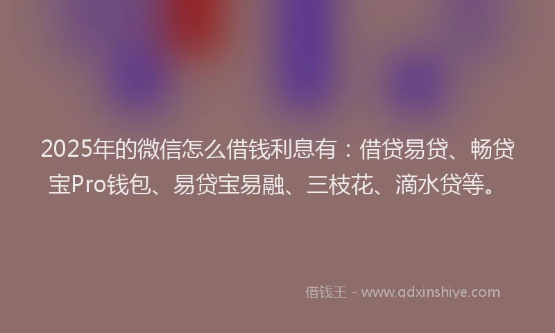 2025年的微信怎么借钱利息有：借贷易贷、畅贷宝Pro钱包、易贷宝易融、三枝花、滴水贷等。