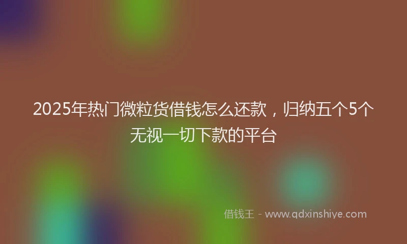 2025年热门微粒货借钱怎么还款，归纳五个5个无视一切下款的平台
