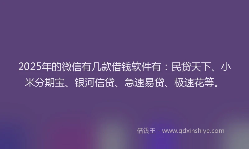 2025年的微信有几款借钱软件有：民贷天下、小米分期宝、银河信贷、急速易贷、极速花等。