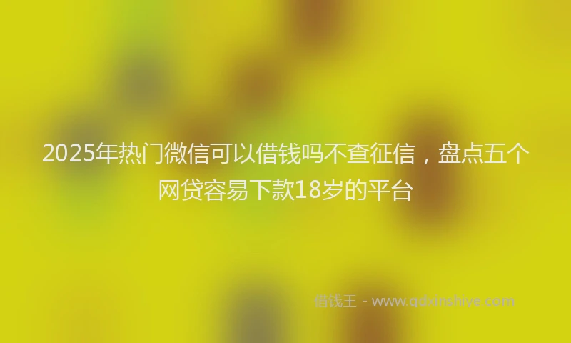 2025年热门微信可以借钱吗不查征信，盘点五个网贷容易下款18岁的平台