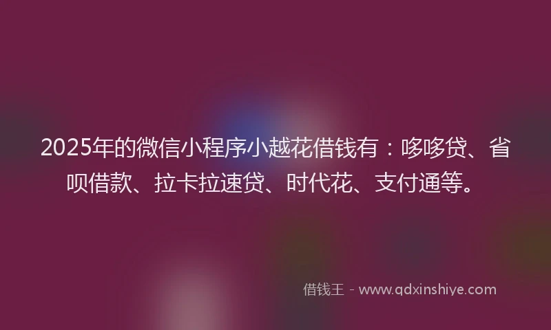 2025年的微信小程序小越花借钱有：哆哆贷、省呗借款、拉卡拉速贷、时代花、支付通等。