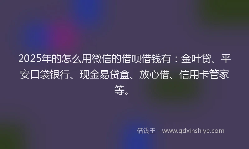 2025年的怎么用微信的借呗借钱有：金叶贷、平安口袋银行、现金易贷盒、放心借、信用卡管家等。