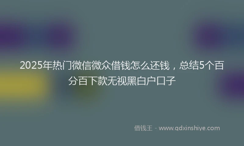 2025年热门微信微众借钱怎么还钱，总结5个百分百下款无视黑白户口子