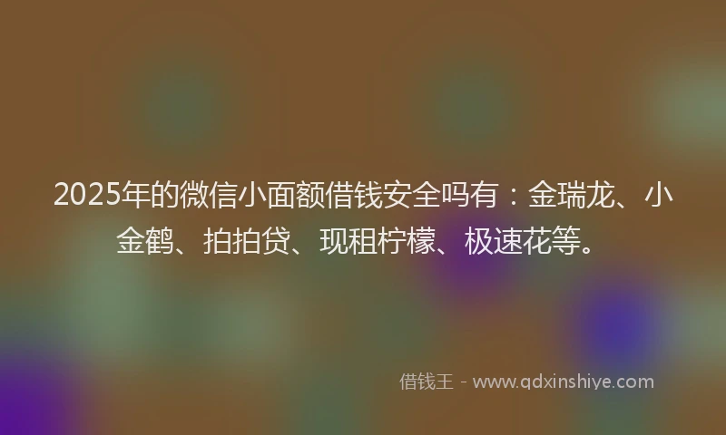 2025年的微信小面额借钱安全吗有：金瑞龙、小金鹤、拍拍贷、现租柠檬、极速花等。