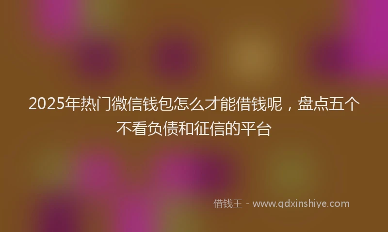2025年热门微信钱包怎么才能借钱呢，盘点五个不看负债和征信的平台