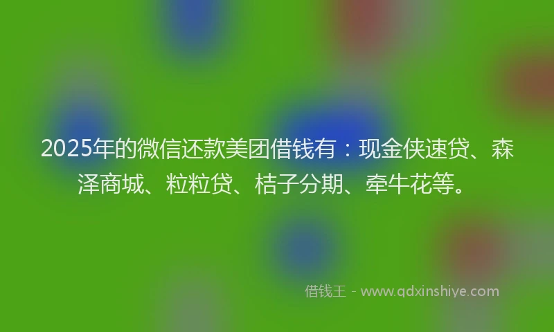2025年的微信还款美团借钱有：现金侠速贷、森泽商城、粒粒贷、桔子分期、牵牛花等。