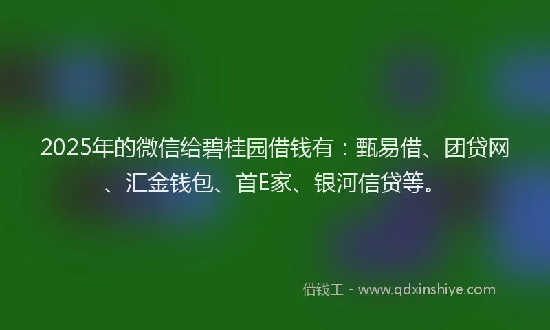 2025年的微信给碧桂园借钱有：甄易借、团贷网、汇金钱包、首E家、银河信贷等。