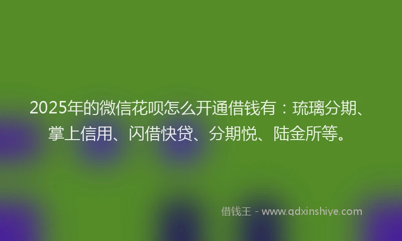 2025年的微信花呗怎么开通借钱有：琉璃分期、掌上信用、闪借快贷、分期悦、陆金所等。