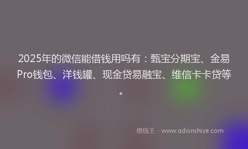 2025年的微信能借钱用吗有：甄宝分期宝、金易Pro钱包、洋钱罐、现金贷易融宝、维信卡卡贷等。