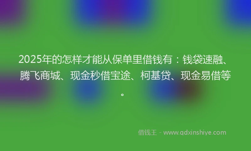 2025年的怎样才能从保单里借钱有：钱袋速融、腾飞商城、现金秒借宝途、柯基贷、现金易借等。