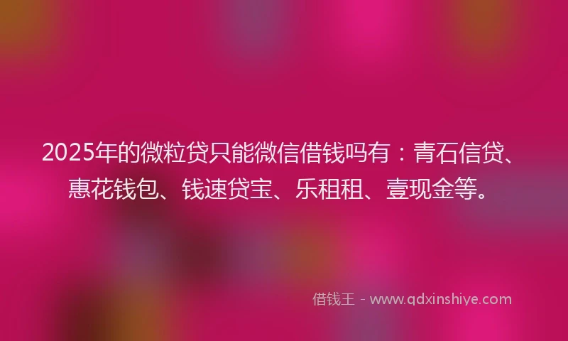 2025年的微粒贷只能微信借钱吗有：青石信贷、惠花钱包、钱速贷宝、乐租租、壹现金等。
