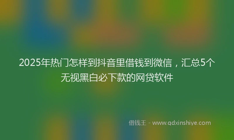 2025年热门怎样到抖音里借钱到微信，汇总5个无视黑白必下款的网贷软件