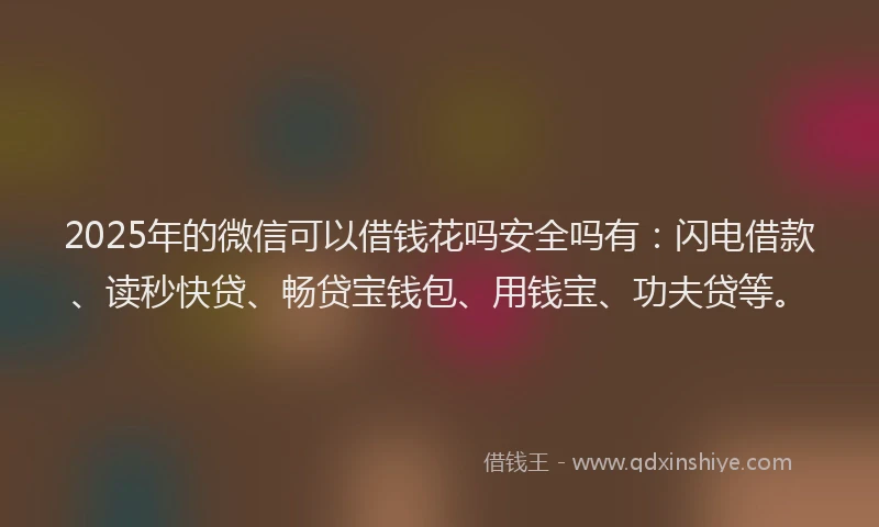 2025年的微信可以借钱花吗安全吗有：闪电借款、读秒快贷、畅贷宝钱包、用钱宝、功夫贷等。