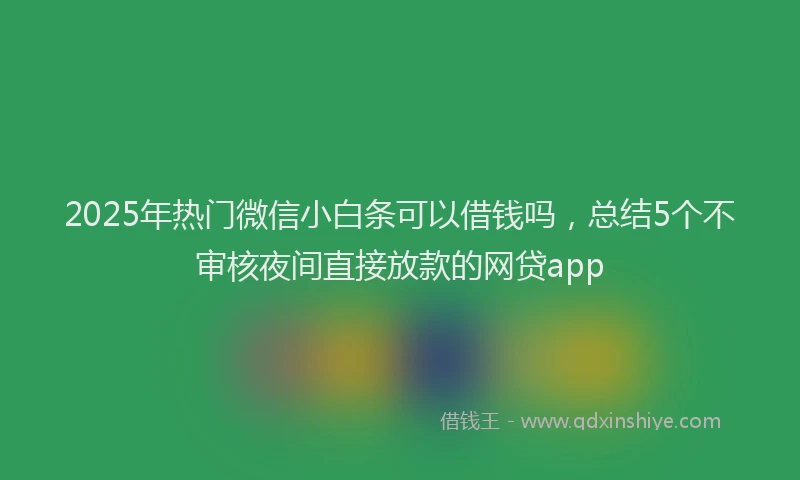 2025年热门微信小白条可以借钱吗，总结5个不审核夜间直接放款的网贷app