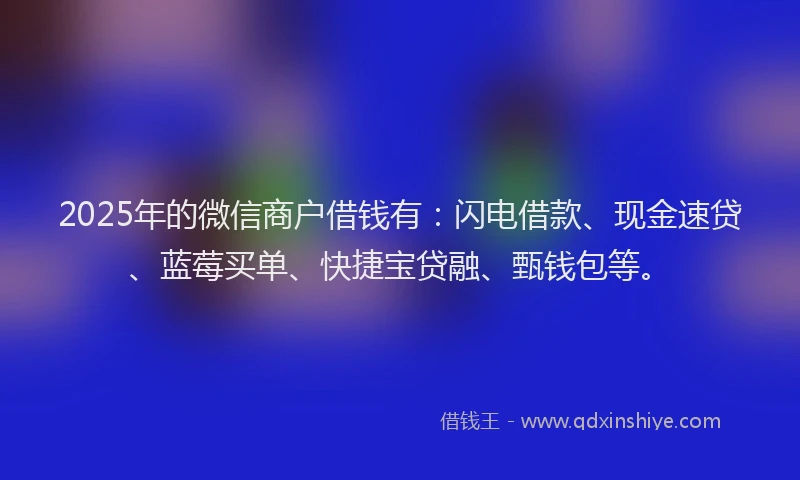 2025年的微信商户借钱有：闪电借款、现金速贷、蓝莓买单、快捷宝贷融、甄钱包等。
