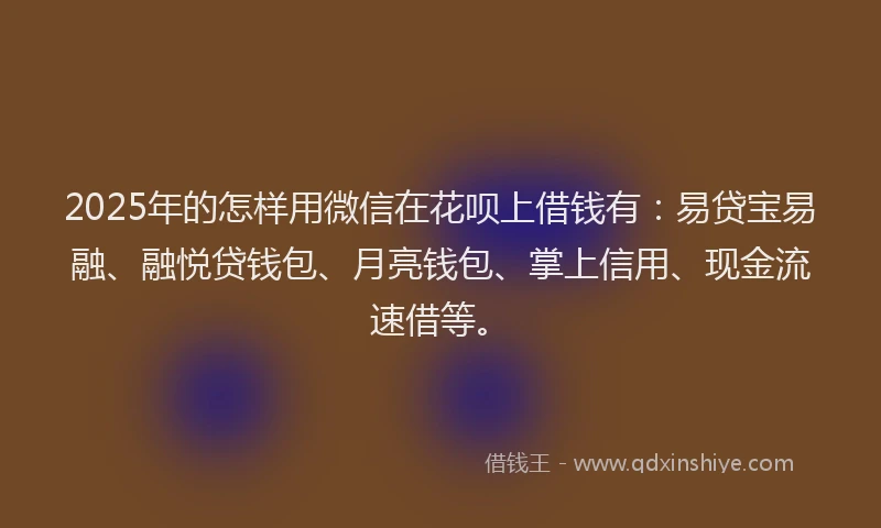2025年的怎样用微信在花呗上借钱有：易贷宝易融、融悦贷钱包、月亮钱包、掌上信用、现金流速借等。