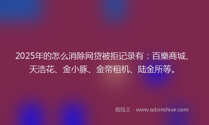 2025年的怎么消除网贷被拒记录有：百樂商城、天浩花、金小豚、金帝租机、陆金所等。