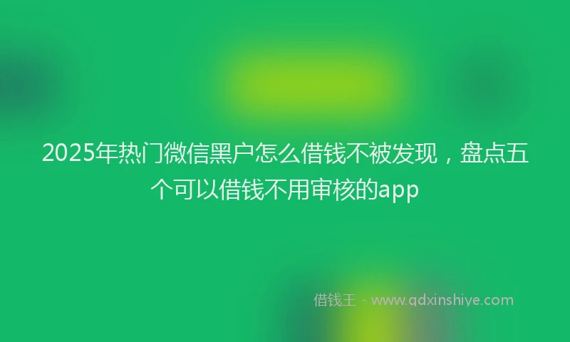 2025年热门微信黑户怎么借钱不被发现，盘点五个可以借钱不用审核的app