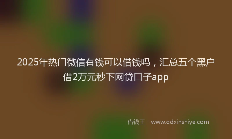 2025年热门微信有钱可以借钱吗，汇总五个黑户借2万元秒下网贷口子app