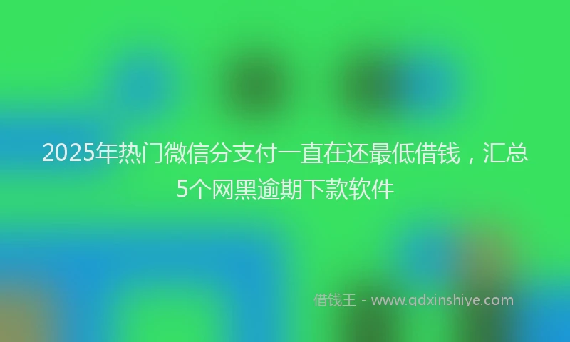 2025年热门微信分支付一直在还最低借钱，汇总5个网黑逾期下款软件
