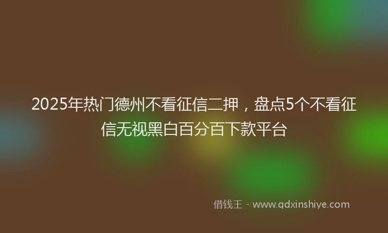 2025年热门德州不看征信二押，盘点5个不看征信无视黑白百分百下款平台
