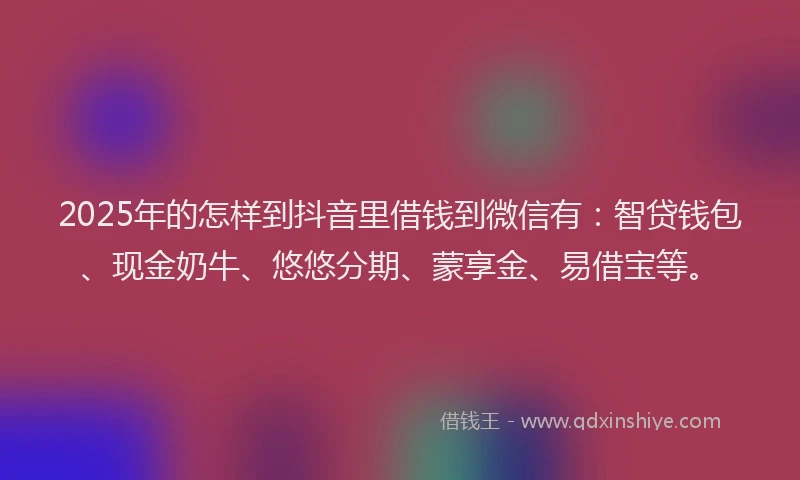2025年的怎样到抖音里借钱到微信有：智贷钱包、现金奶牛、悠悠分期、蒙享金、易借宝等。