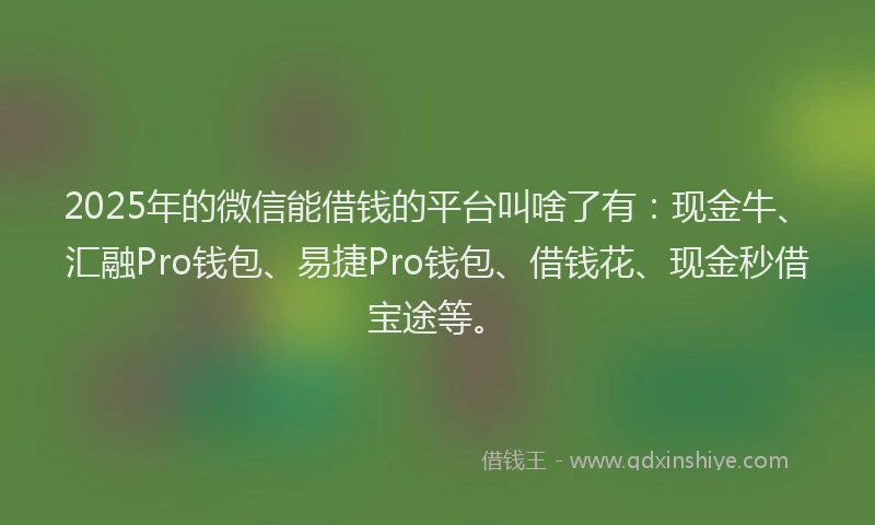 2025年的微信能借钱的平台叫啥了有：现金牛、汇融Pro钱包、易捷Pro钱包、借钱花、现金秒借宝途等。