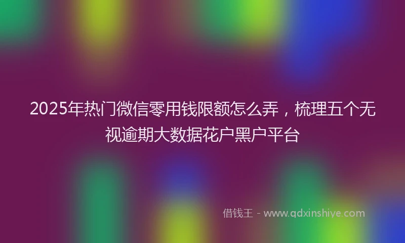 2025年热门微信零用钱限额怎么弄，梳理五个无视逾期大数据花户黑户平台
