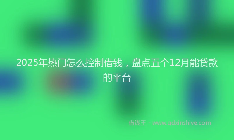 2025年热门怎么控制借钱，盘点五个12月能贷款的平台