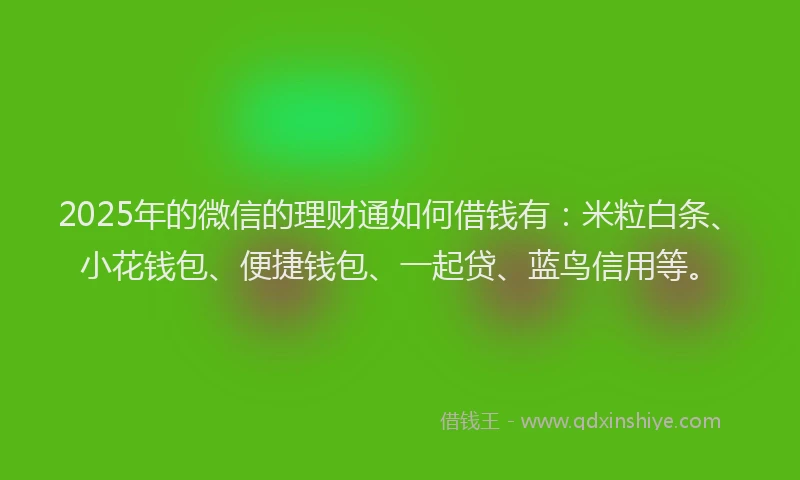 2025年的微信的理财通如何借钱有:米粒白条、小花钱包、便捷钱包、一起贷、蓝鸟信用等。