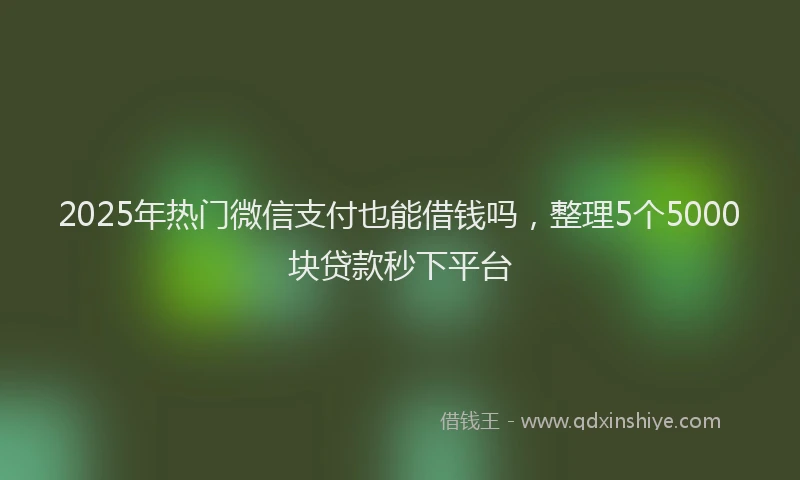 2025年热门微信支付也能借钱吗，整理5个5000块贷款秒下平台