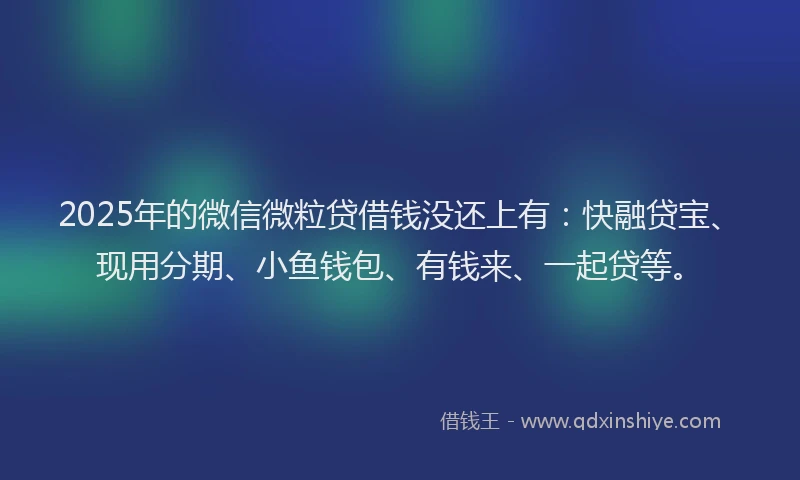 2025年的微信微粒贷借钱没还上有：快融贷宝、现用分期、小鱼钱包、有钱来、一起贷等。