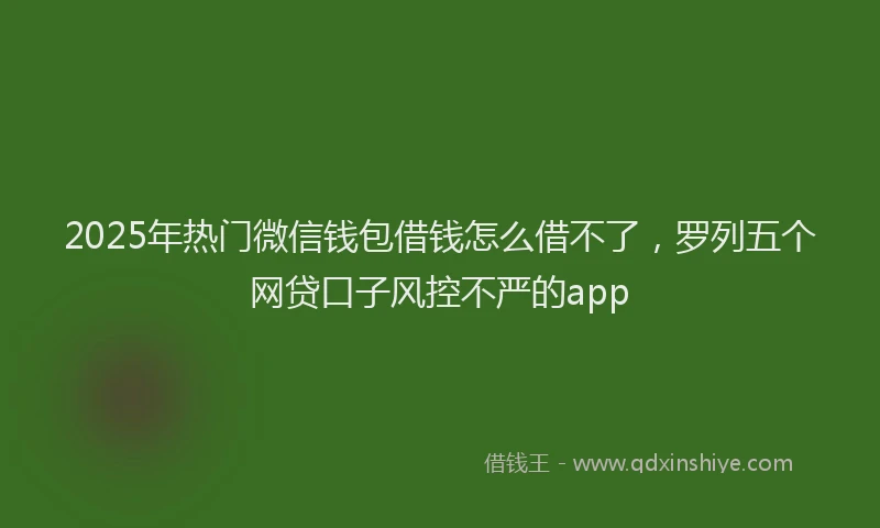 2025年热门微信钱包借钱怎么借不了，罗列五个网贷口子风控不严的app