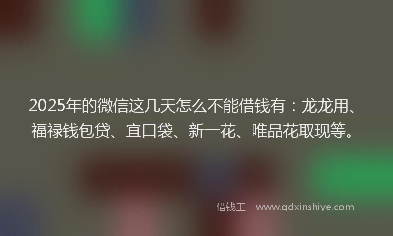 2025年的微信这几天怎么不能借钱有:龙龙用、福禄钱包贷、宜口袋、新一花、唯品花取现等。