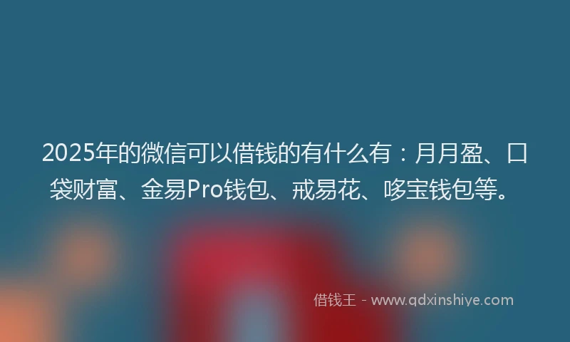 2025年的微信可以借钱的有什么有：月月盈、口袋财富、金易Pro钱包、戒易花、哆宝钱包等。