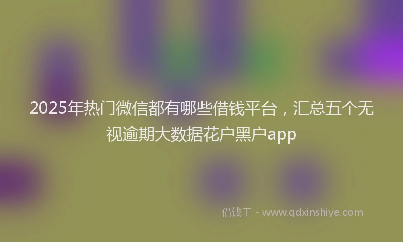 2025年热门微信都有哪些借钱平台，汇总五个无视逾期大数据花户黑户app