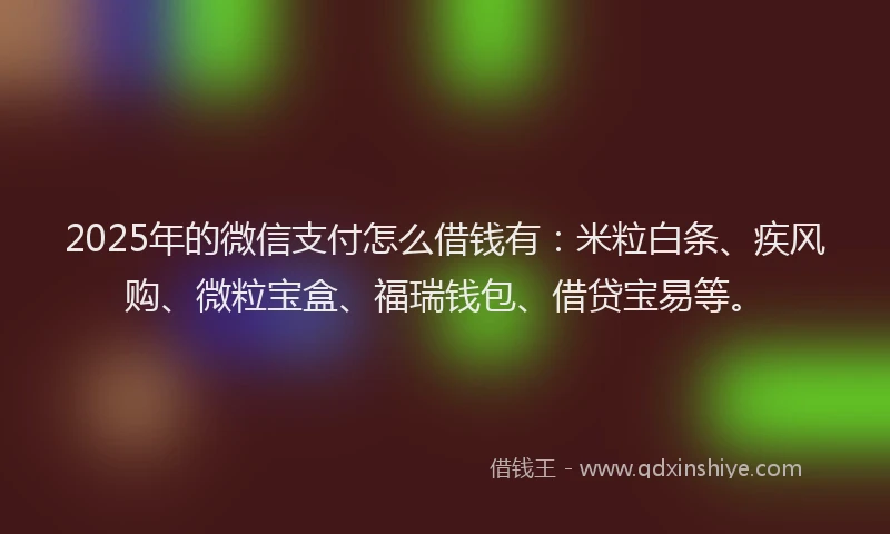 2025年的微信支付怎么借钱有：米粒白条、疾风购、微粒宝盒、福瑞钱包、借贷宝易等。