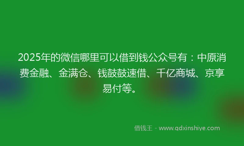 2025年的微信哪里可以借到钱公众号有：中原消费金融、金满仓、钱鼓鼓速借、千亿商城、京享易付等。