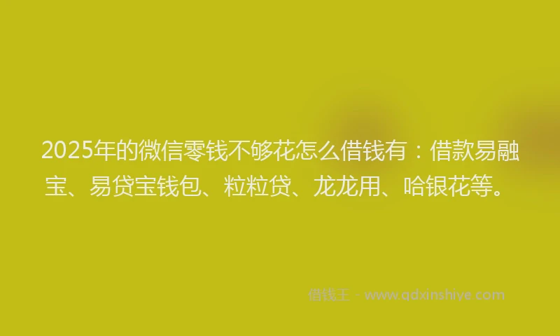 2025年的微信零钱不够花怎么借钱有：借款易融宝、易贷宝钱包、粒粒贷、龙龙用、哈银花等。