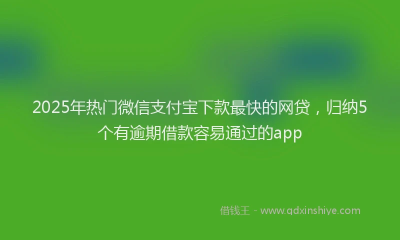 2025年热门微信支付宝下款最快的网贷，归纳5个有逾期借款容易通过的app