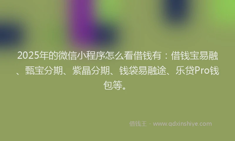 2025年的微信小程序怎么看借钱有：借钱宝易融、甄宝分期、紫晶分期、钱袋易融途、乐贷Pro钱包等。