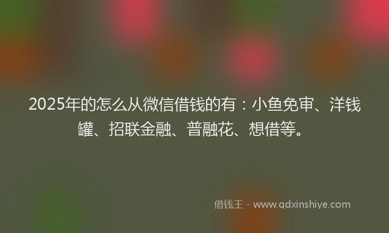 2025年的怎么从微信借钱的有：小鱼免审、洋钱罐、招联金融、普融花、想借等。