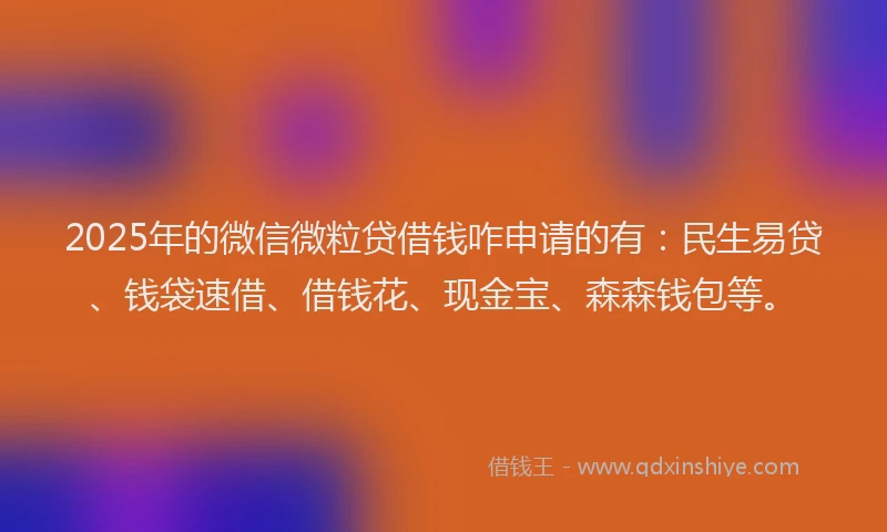 2025年的微信微粒贷借钱咋申请的有：民生易贷、钱袋速借、借钱花、现金宝、森森钱包等。