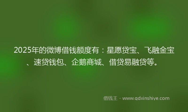 2025年的微博借钱额度有：星愿贷宝、飞融金宝、速贷钱包、企鹅商城、借贷易融贷等。