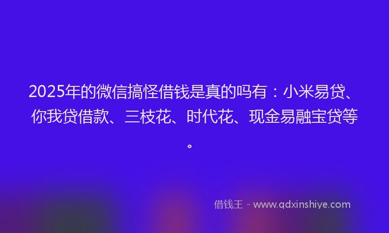 2025年的微信搞怪借钱是真的吗有：小米易贷、你我贷借款、三枝花、时代花、现金易融宝贷等。