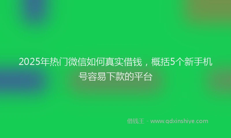 2025年热门微信如何真实借钱，概括5个新手机号容易下款的平台